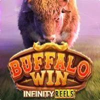 buffalo-win.webp